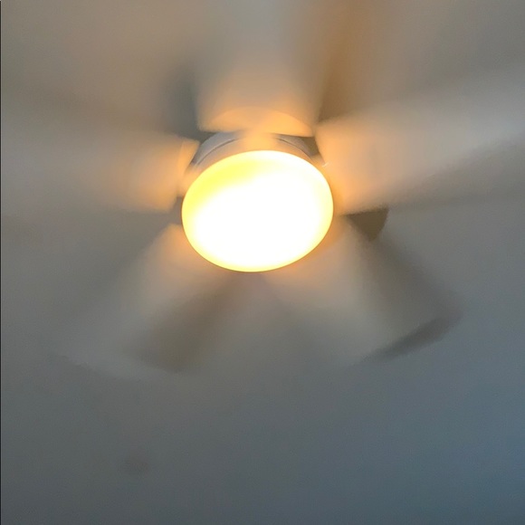 Meet your Posher, Ruth - Picture 1 of 1